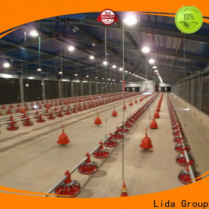 Lida Group Latest chook farm bulk buy for poultry raising 1