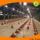 Lida Group Latest chook farm bulk buy for poultry raising 1