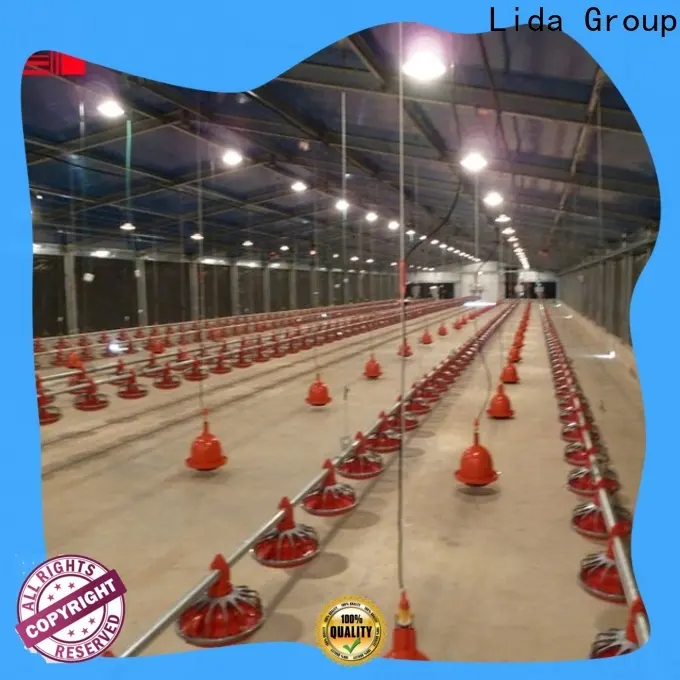 Lida Group warehouse structures for sale shipped to business used as poultry farm 1