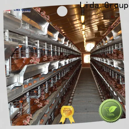 New chicken farm house design Supply for poultry farming 1