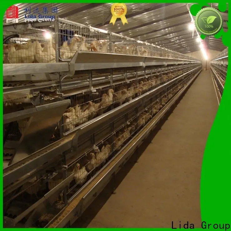 Lida Group chicken rearing business bulk buy for poultry farm 1