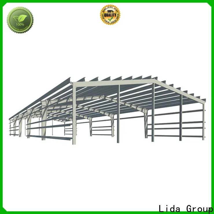Lida Group prefab steel buildings for sale Supply for warehouse 1