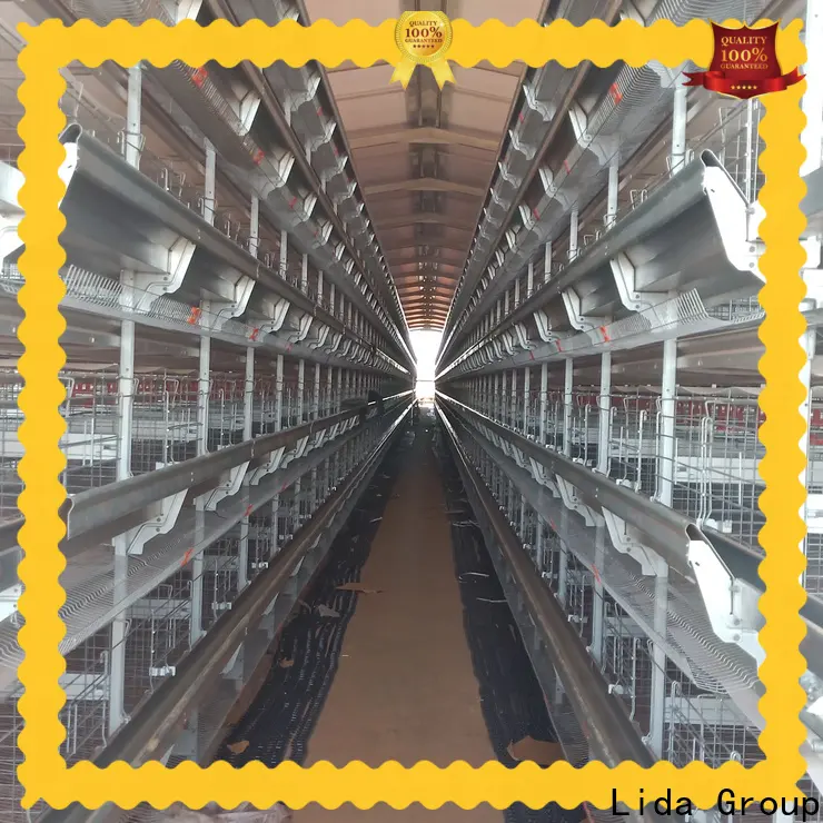 Wholesale muguku poultry farm manufacturers for poultry raising 1