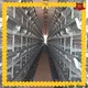 Wholesale muguku poultry farm manufacturers for poultry raising 1