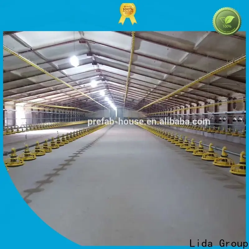 Lida Group chicken farm income shipped to business for poultry farm 1