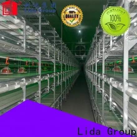 Lida Group poultry farm for sale 650k bulk buy for poultry farming 1