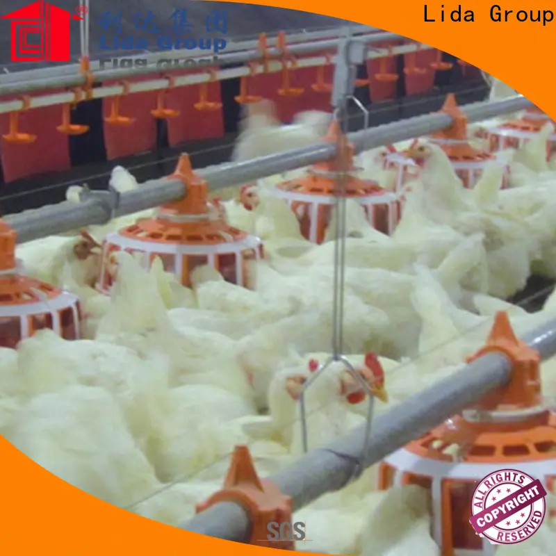 Latest how to manage poultry farm factory for poultry farm 1