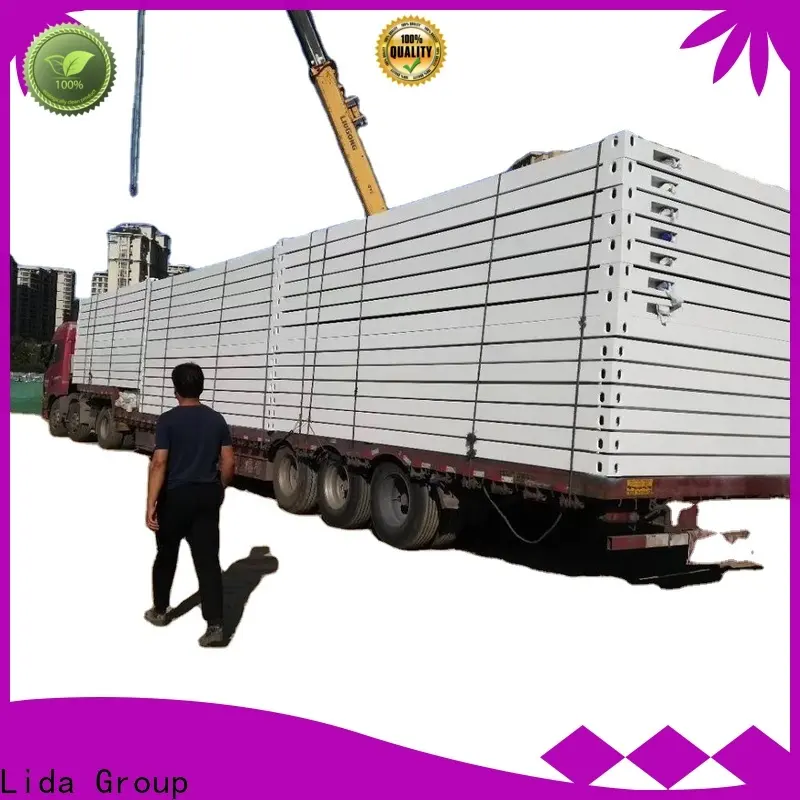 Lida Group Top single container house company used as office, meeting room, dormitory, shop 1
