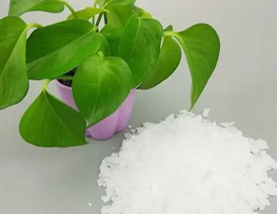 Sainuo Array image176