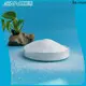 Sainuo polyethylene wax for powder coaing manufacturer for color masterbatch 1