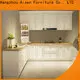 AisDecor cheap oak cabinets one-stop solutions 1