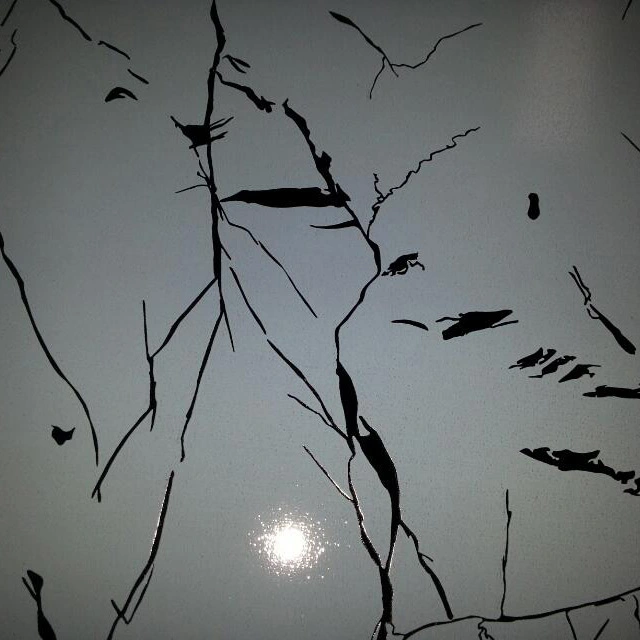 Topson Custom polished stainless steel sheet metal Supply for partition screens 6