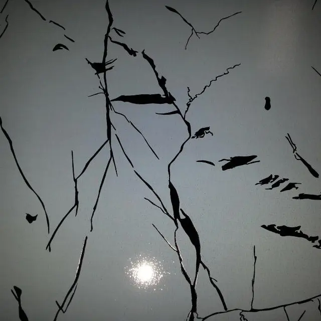 Custom coloured stainless steel sheet suppliers mirror China for partition screens 6