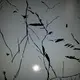 Custom coloured stainless steel sheet suppliers mirror China for partition screens 6