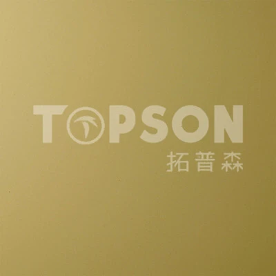 Topson luxurious stainless steel sheet metal prices factory for handrail 4