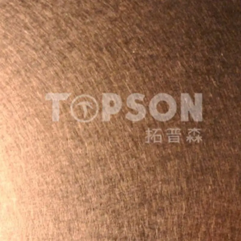 Topson etching stainless steel embossed plate for partition screens 3