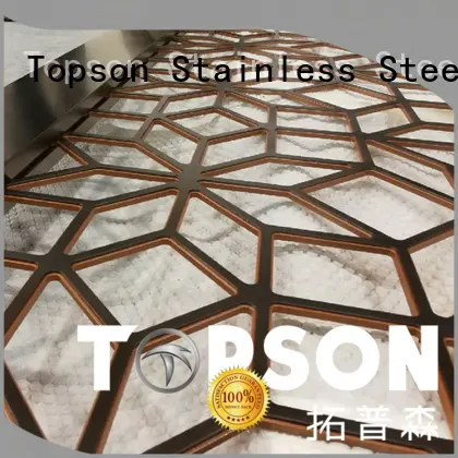 Topson external metal screen overseas market for protection 1