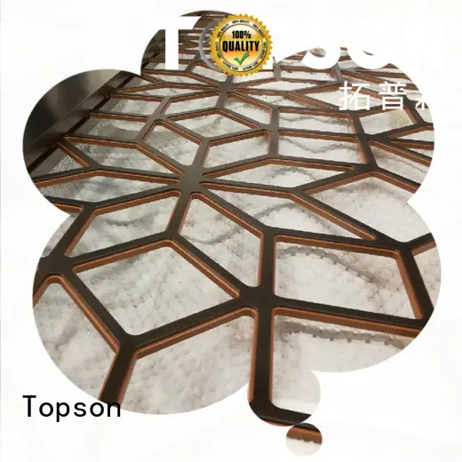 Topson internal outdoor metal privacy screens for building faced 1