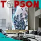 Topson worksglass glass furniture for manufacturer for TV wall 1
