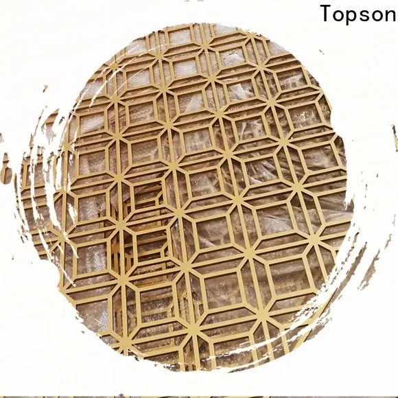 Topson High-quality perforated metal screen wall from china for building faced 1