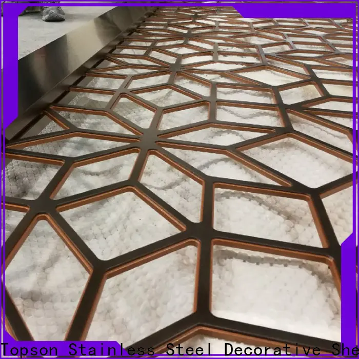 Topson plate metal screen manufacturer for building faced 1