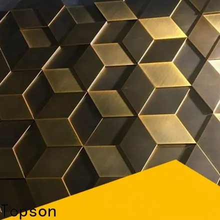 Topson professional stainless steel cladding fixings for business for elevator 1