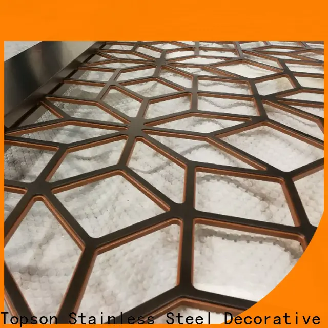 Topson good design decorative metal mesh screen manufacturer for landscape architecture 1