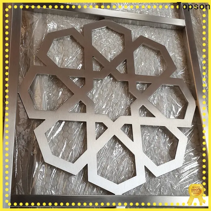 Topson good design stainless steel perforated screen export for landscape architecture 1