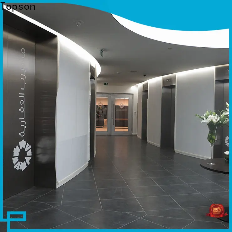 Topson Top 32 metal door for business for building facades 1