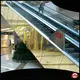 Topson good-looking roofing and cladding materials for elevator 1