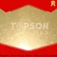Topson Best embossed stainless sheet China for elevator for escalator decoration 1