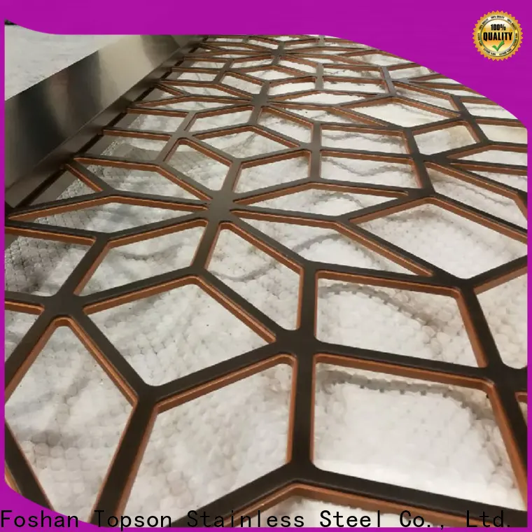 Topson durable internal decorative screens Supply for curtail wall 1