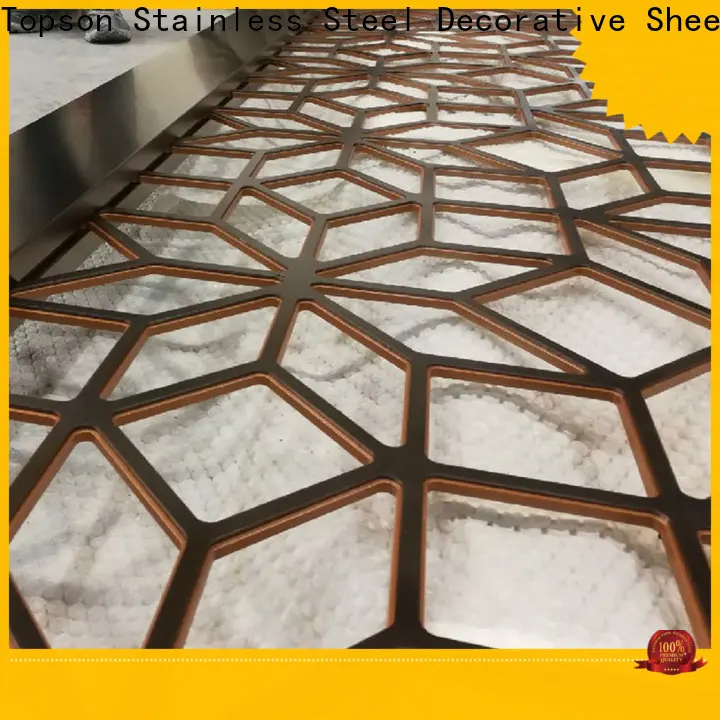 Topson good design decorative metal mesh screen for protection 1