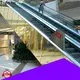Topson elevator stainless steel roofing details factory for shopping mall 1
