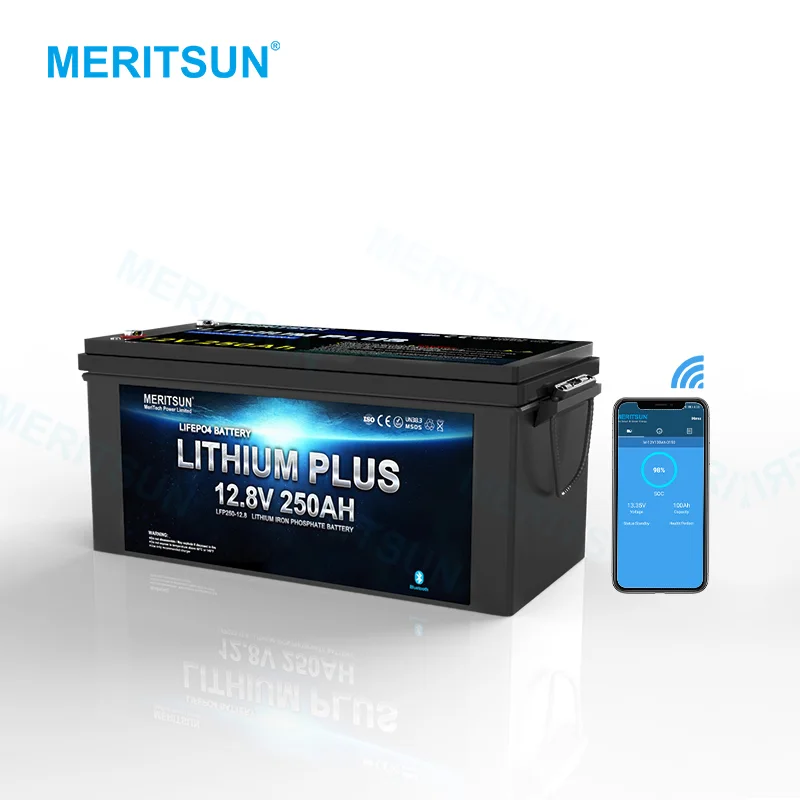 Li-ion Lifepo4 Battery Pack 24v 100ah Lithium Battery Phosphate Battery cell With Bluetooth 1