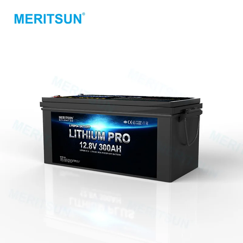 MeritSun Customized Rechargeable Lithium Lifepo4 Liion 12v 200h Battery Lifepo4 Prismatic Cell 1