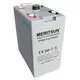 front flooded deep MERITSUN opzv battery 1