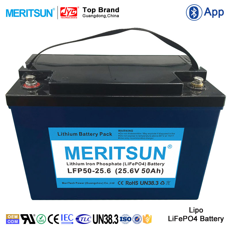 100%DOD >2000Times 24 Volt 24V 50Ah Li Lipo LiFePO4 Lithium ion Battery Pack for Electric Boat etc 3