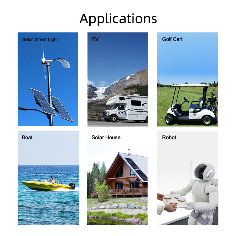 Lithium Ion Battery Phosphate Pack Buit-in BMS Lifepo4 12v 100ah BOATS Golf Carts Solar Energy Storage Systems 5