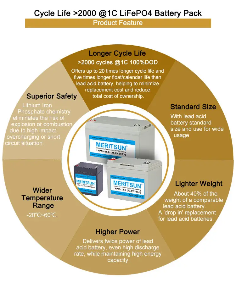 MERITSUN Brand 100ah lipo 100dod lifepo4 battery price 4