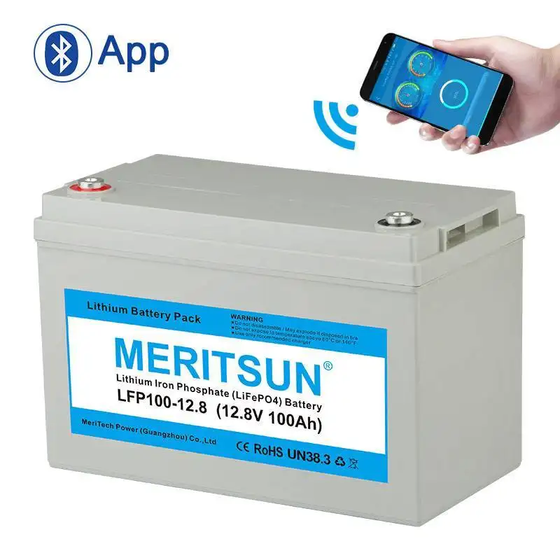 MERITSUN Brand 100ah lipo 100dod lifepo4 battery price 2