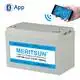 MERITSUN Brand 100ah lipo 100dod lifepo4 battery price 2