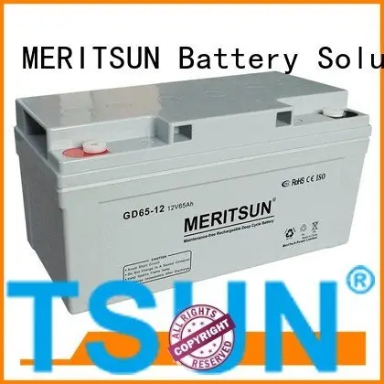 Custom opzv battery flooded cycle front MERITSUN 1