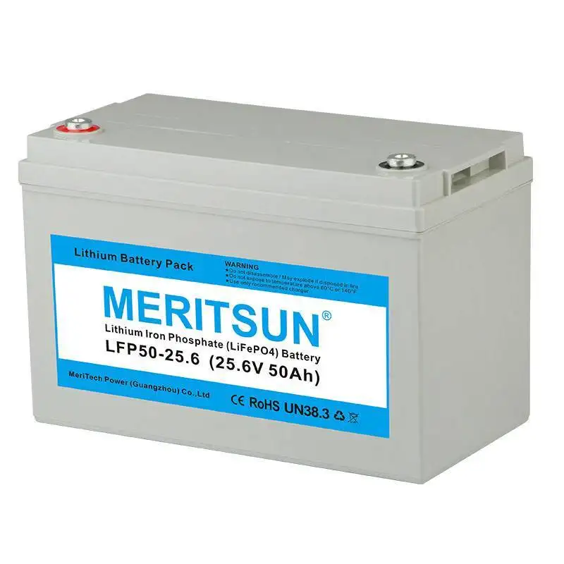 MERITSUN Brand 100ah lifepo4 battery price liion 200ah 2
