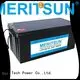 MERITSUN Brand bluetooth battery iron lifepo4 battery pack 100ah 1