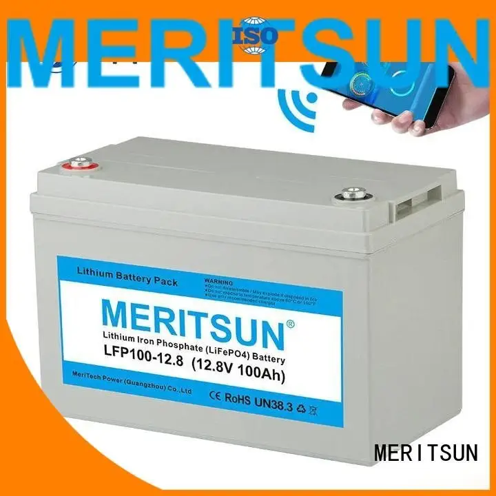 liion bluetooth lifepo4 battery price MERITSUN 1