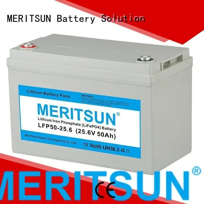 MERITSUN Brand 100ah lifepo4 battery price liion 200ah 1