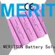 MERITSUN Brand 36v lithium ion battery cells 1