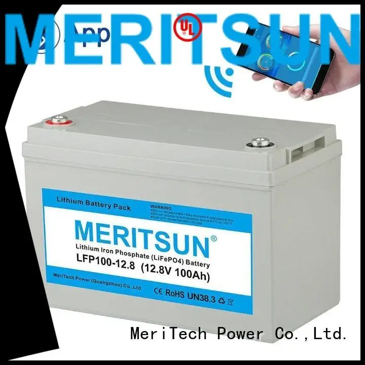 app cycles OEM lifepo4 battery pack 1