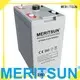 Hot opzv battery deep MERITSUN Brand 1